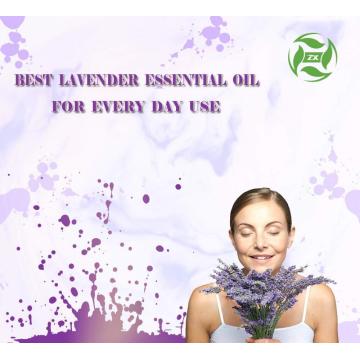 Aceite esencial de la lavanda orgánica superior del producto de belleza del grado