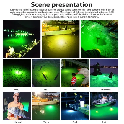 DC 12V/24V LED Night Fishing Lights - 200W to 600W Underwater Fishing Lights
