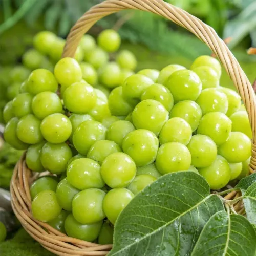 Natural Fresh Grapes Shine Muscat Flavor