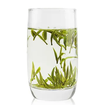 Early Spring High Quality Green Tea