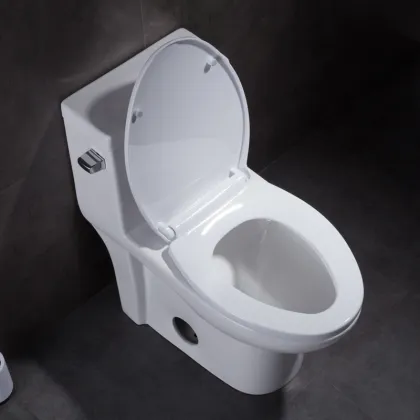 Ceramic Siphonic S-Trap One Piece Toilet