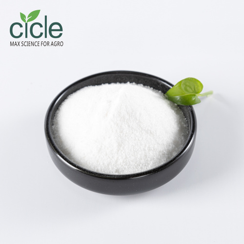 Pure Natural Succinic Acid