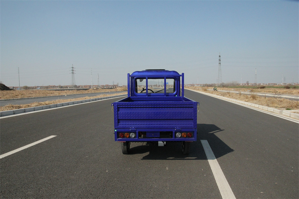 Flexible Wheeled Three Wheeled Electric Vehicle