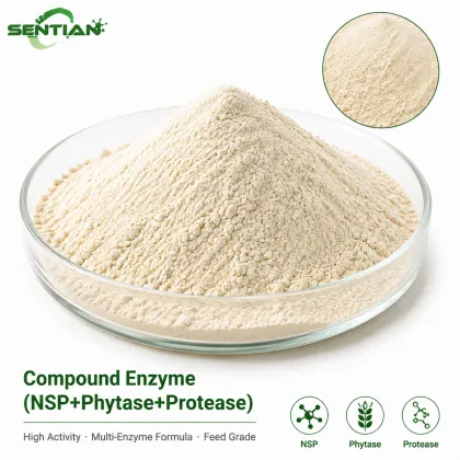 Compound Enzyme NSP Phytase Protease for Feed Efficiency