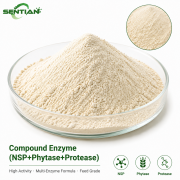 Compound Enzyme NSP Phytase Protease for Feed Efficiency