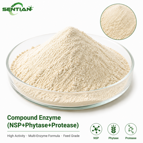 Compound Enzyme NSP Phytase Protease for Feed Efficiency