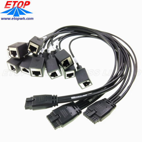 Overmolded Power Micro-fit Connectors to 4in RJ45 Jack