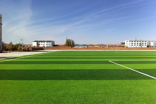 14 2 4 Surf Artificial Grass 03