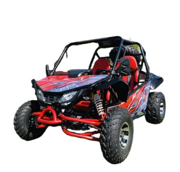 2024 200cc Buggy Go Kart for Adults