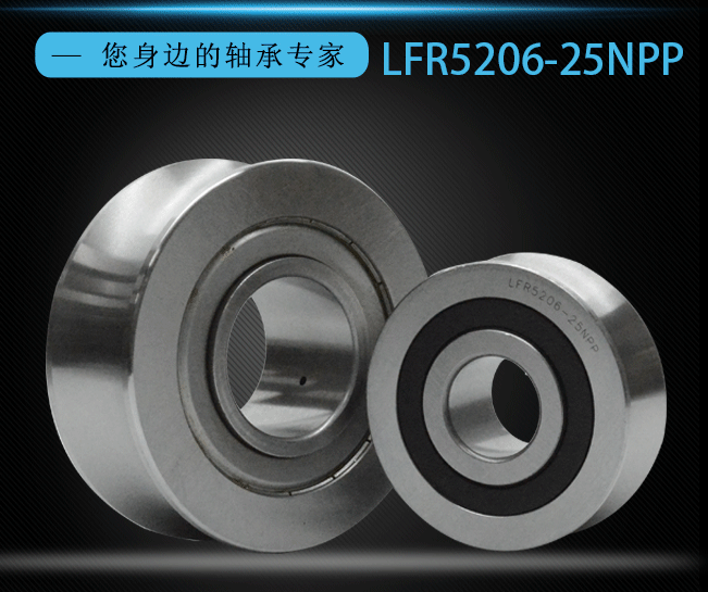 Double Row Angular Contact Ball Bearing LFR