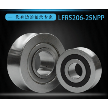 Double Row Angular Contact Ball Bearing LFR