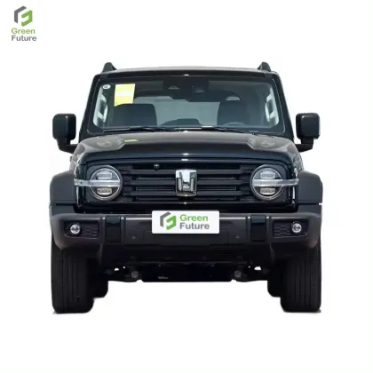 300L Gasoline Tank AWD SUV - Great Wall GWM New Cars for Adults