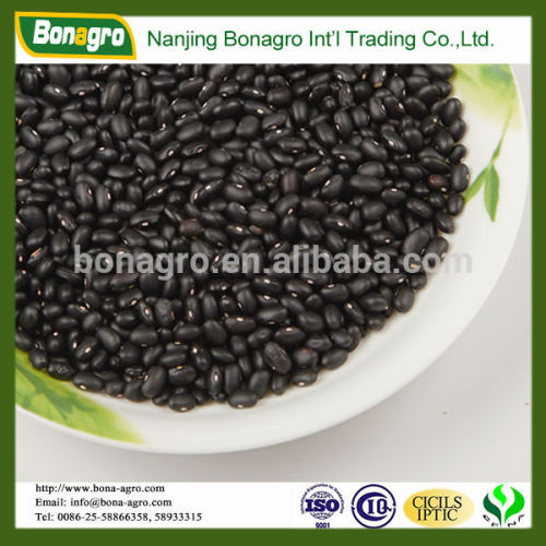 black bean manufactor China supplier