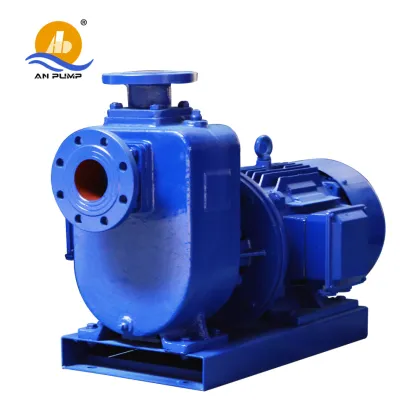 Italy Saer Self Priming Pump for Sale