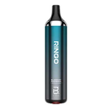 Rechargeable Disposable Vape 10 Fruit Flavors
