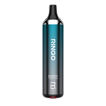 Rechargeable Disposable Vape 10 Fruit Flavors