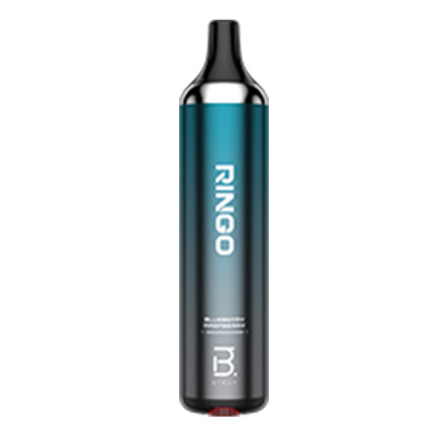 Rechargeable Disposable Vape 10 Fruit Flavors