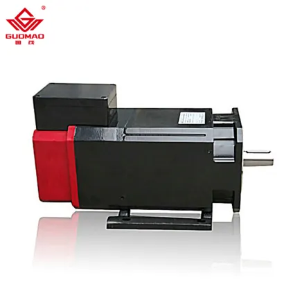 Guomao Industrial AC Servo Motor with Speed Reducer Gearbox