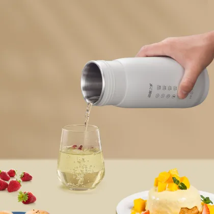 Electric Water Bottle Cup Heater - New Arrival Insulated Heating Bottle for Boiling Water