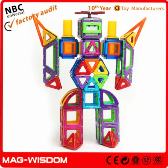 Plastic Funny Toy Magnetic Card