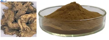 Macrotys extract snake root extract OEM service