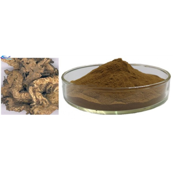 Macrotys extract snake root extract OEM service