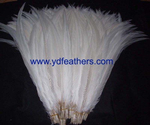 Best quality bleached white silver pheasant tail