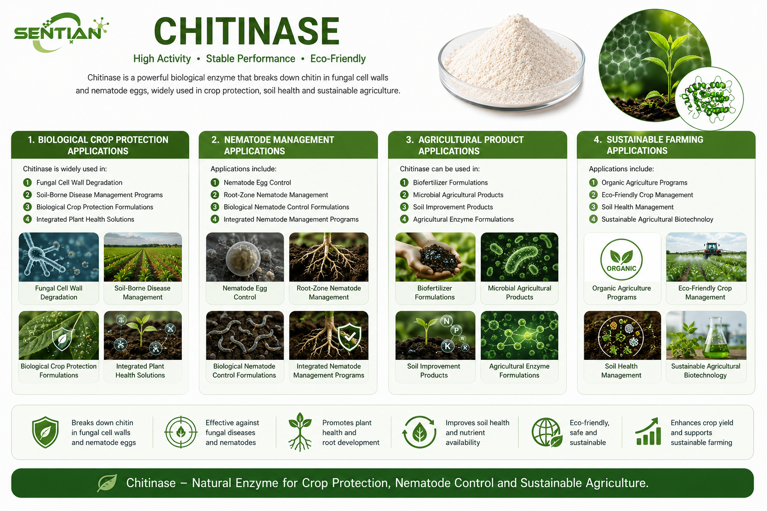 Chitinase2