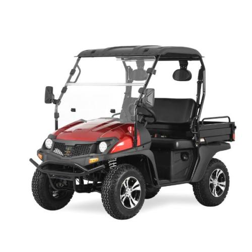 Euro Style with Rear Passenger Seat 200CC UTV