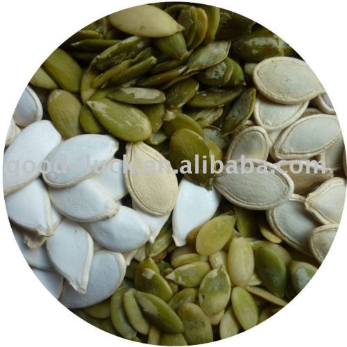 pumpkin seed and kernels