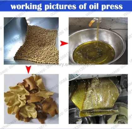 Small Capacity Soybean Extruder Sunflower Seed Oil Press Machine