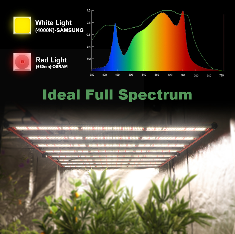 Cannabi wachsen Licht 1000W 6 × 6 Fuß Zelt