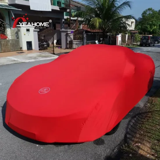 Printing Indoor Car Cover Breathable Car Decoration