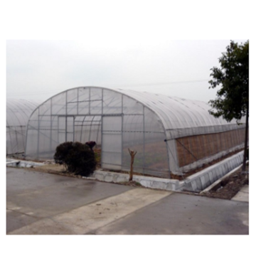 Tunnel Plástico Film Greenhouse para Flores de Vegetais