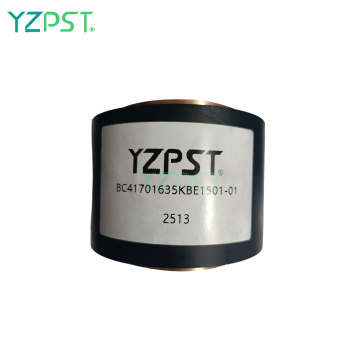Conduction water-cooled 700VAC 6.3uF BC41 Resonant Capacitor