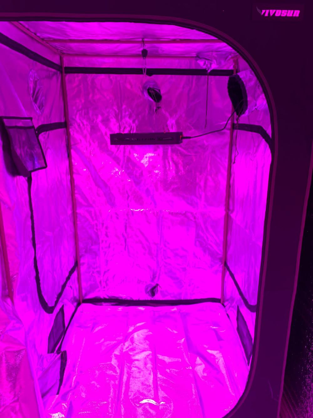 Best 600W LED Grow Lights