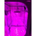 Beste 600W LED Grow Lights