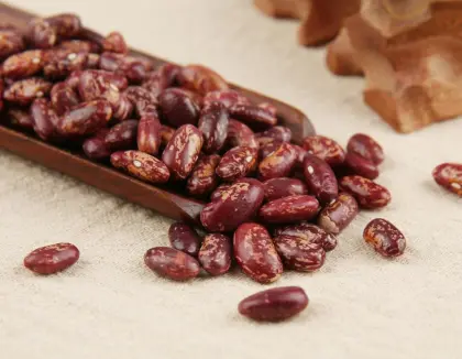 Kidney Beans Health Benefits