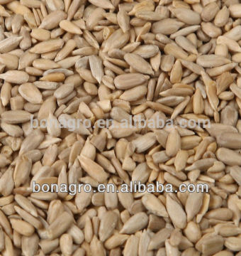 sunflower seeds American type 5009 size 24/64 22/64