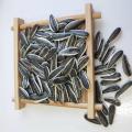 Healthy Raw Sunflower Seeds With Good Reputation