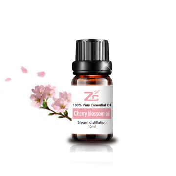 Aceite esencial de la flor de cerezo al por mayor para el masaje de la piel