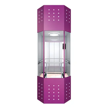 BUILDINGEYE-JO Panoramic Elevators