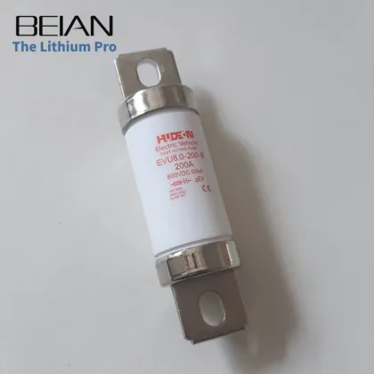 Hudson 200A DC800V Electric Car Fuse