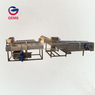 Heavy Duty Potato Washing And Grading Machine