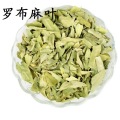 Natural Dogbane Leaf Extract Apocynum Extract