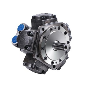 সামুদ্রিক অ্যাপ্লিকেশনের জন্য DM2 সিরিজ 113cc-276cc ক্যাম রিং ফাইভ স্টার হাইড্রোলিক মোটর