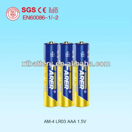 Long Life AAA Battery (LR03)