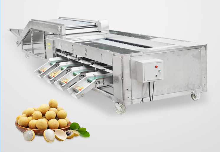 potato sorting machine