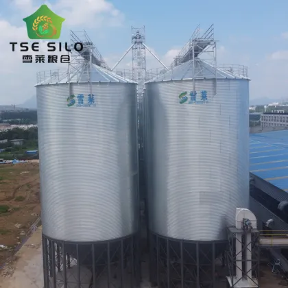 100m³ Farm Livestock Feed Silo for Pig Farm Feeds