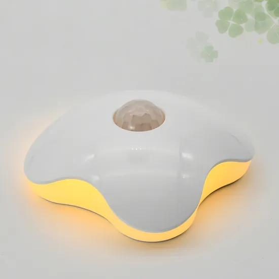 USB Rechargeable Motion Sensor LED Night Light for Home